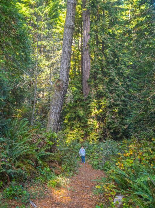 Driftwood Lodge ~ 5 Bedroom / 7 Bath ~ 30-Acre Private Estate On Hwy 1 ~ Hot Tub ~ Oceanview ~ Reunions & Retreats Walsh Landing Экстерьер фото